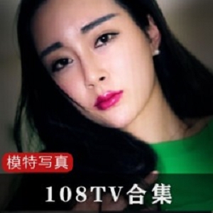 108TV：娱乐大师，让你沉浸在精彩的视频世界中